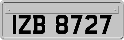 IZB8727