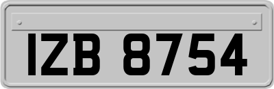 IZB8754