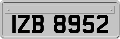 IZB8952