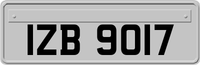 IZB9017