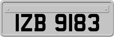 IZB9183