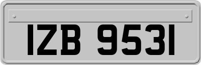 IZB9531