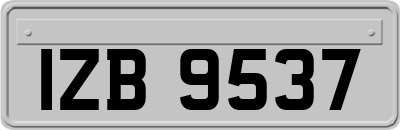 IZB9537