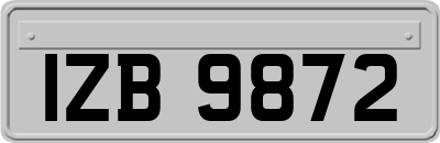 IZB9872