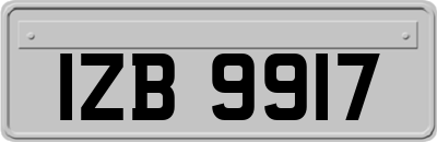 IZB9917