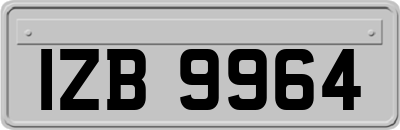 IZB9964