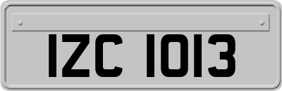 IZC1013
