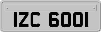 IZC6001