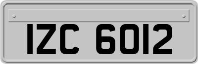 IZC6012