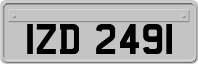 IZD2491