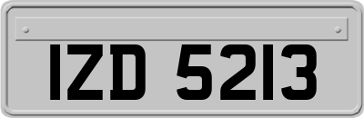 IZD5213