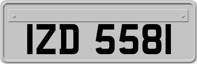 IZD5581