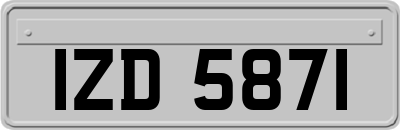 IZD5871