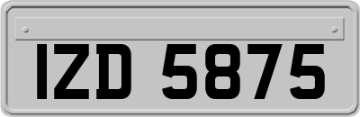 IZD5875