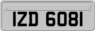 IZD6081