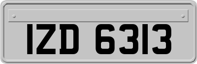 IZD6313