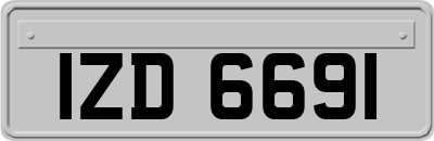 IZD6691