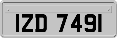 IZD7491