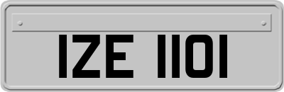 IZE1101