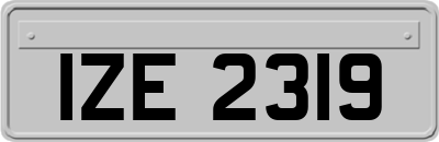 IZE2319
