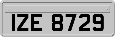 IZE8729