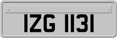 IZG1131