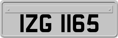IZG1165