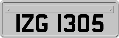 IZG1305