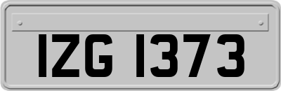 IZG1373