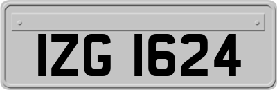IZG1624