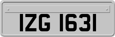 IZG1631