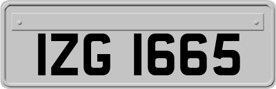 IZG1665