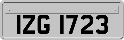 IZG1723