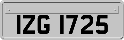 IZG1725