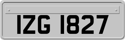 IZG1827
