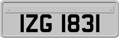 IZG1831