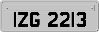 IZG2213
