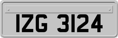 IZG3124