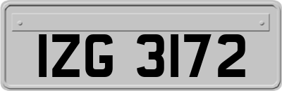 IZG3172