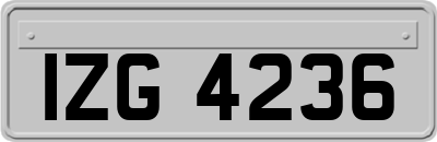 IZG4236