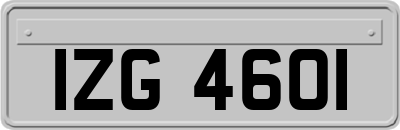 IZG4601