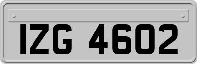 IZG4602