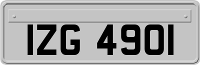 IZG4901