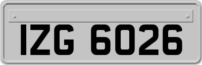 IZG6026