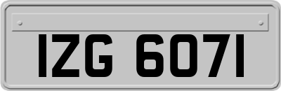 IZG6071