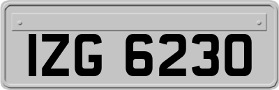 IZG6230