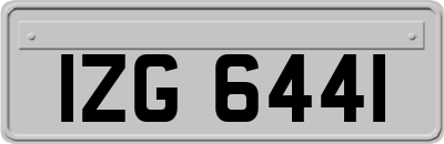 IZG6441