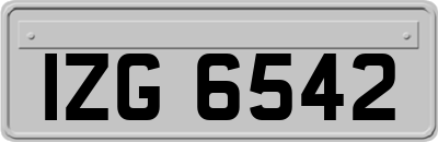 IZG6542
