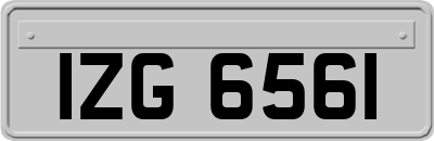 IZG6561