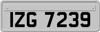 IZG7239